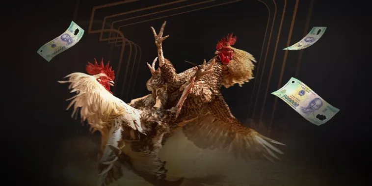 Đá Gà i9BET Kinh Điển Trải Nghiệm Đấu Trường Máu Lửa Ngay