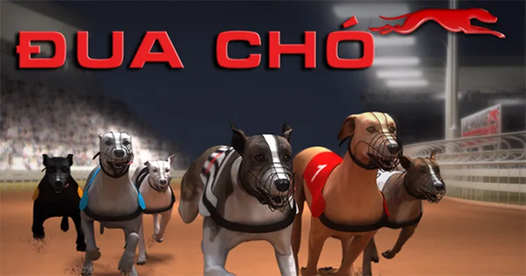 Mẹo Cược Game Nhanh Đua Chó Tại i9BET Bách Phát Bách Trúng